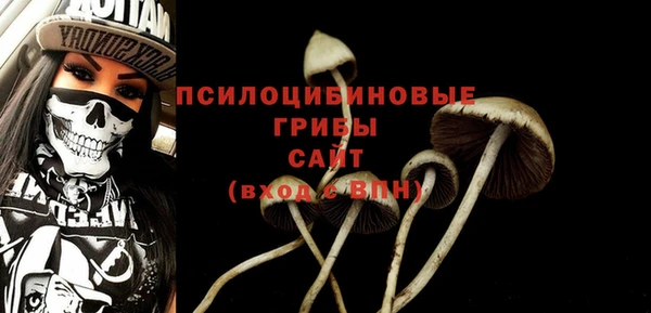 тгк Абаза