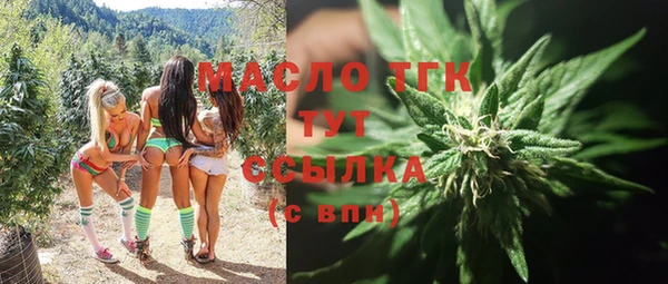 тгк Абаза