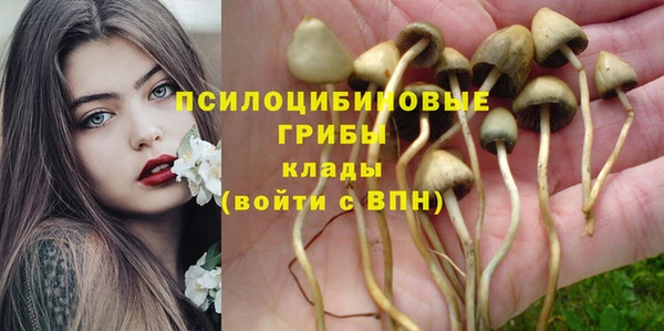 СК Абдулино