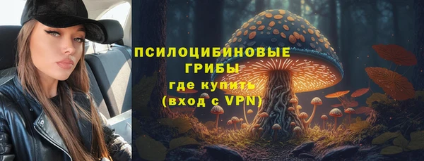 СК Абдулино